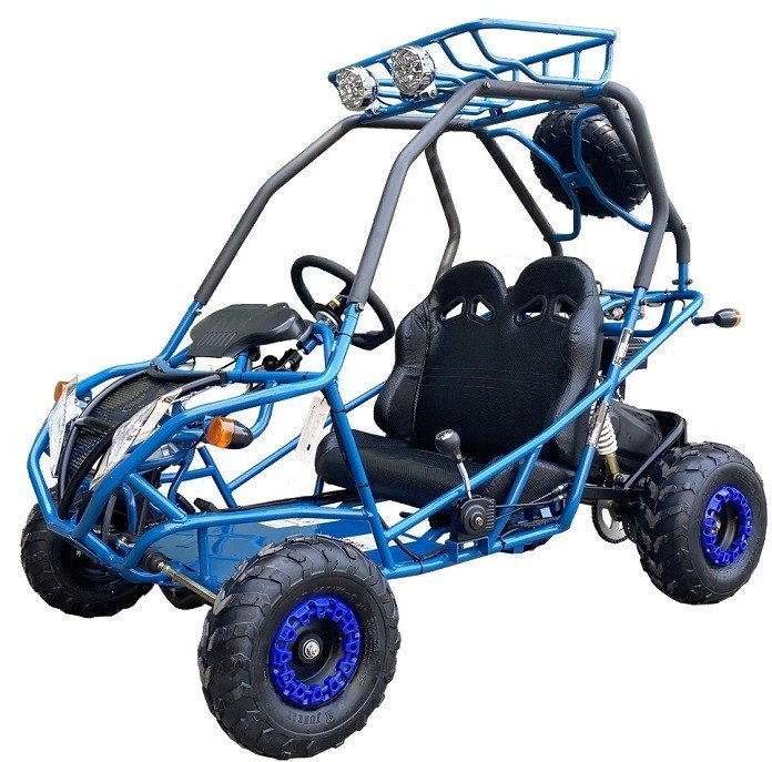 PGO 200GVA Kids Gas Go Kart, 6.5hp 196cc engine with Electric Start, Automatic Torque Converter with Reverse, Kids Ages 7-12